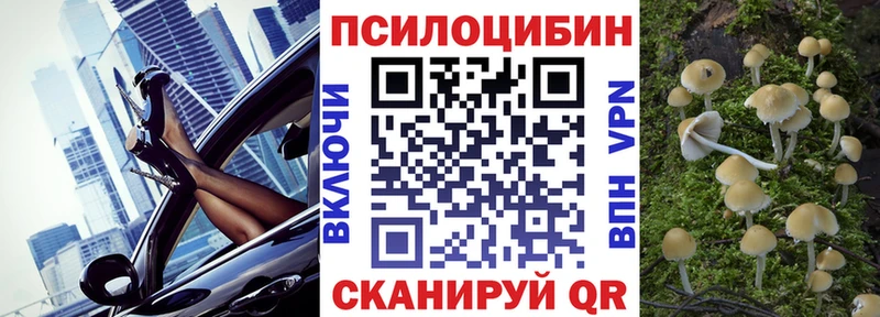 где купить наркоту Симферополь kraken как зайти Псилоцибиновые грибы мицелий